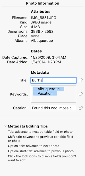 Metadata inspector